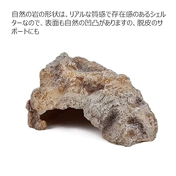 SS612 流木　灰汁抜き済み　爬虫類シェルターバスキング　アクアテラリウム SS612 流木 灰汁抜き済み 爬虫類シェルターバスキング アクア